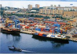 Правительство РФ утвердило правила оформления электронной визы в свободный порт Владивосток