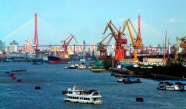 Порт для импорта живых морепродуктов открыт в Шанхае
