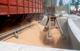 Перевозки зерна в крытых вагонах АО "ФГК" выросли на 57%
