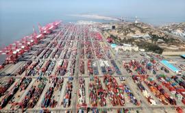 Контейнерооборот порта Шанхай за 11 месяцев превысил 40 млн TEU