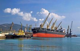 С 2015 года доля порожних контейнеров в импорте морских портов РФ выросла почти в 3 раза