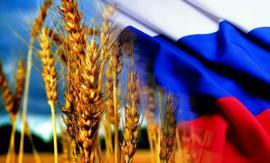 Китай снял запрет на ввоз пшеницы из шести регионов РФ
